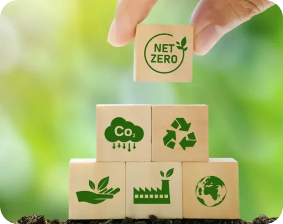 Sustainable & Cost-Effective Packaging